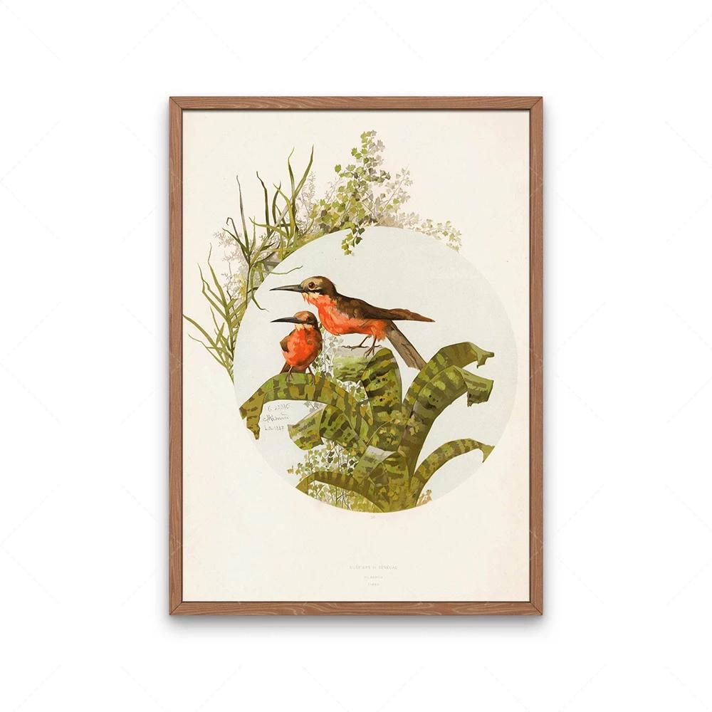 Garden birds poster, goldfinch bird, beaked warbler bird and hyacinth flower, four bengal birds, audubon bird print decoration,