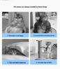 Breathable Spring/Summer Cat Tunnel & Bed Combo for Play and Relaxation