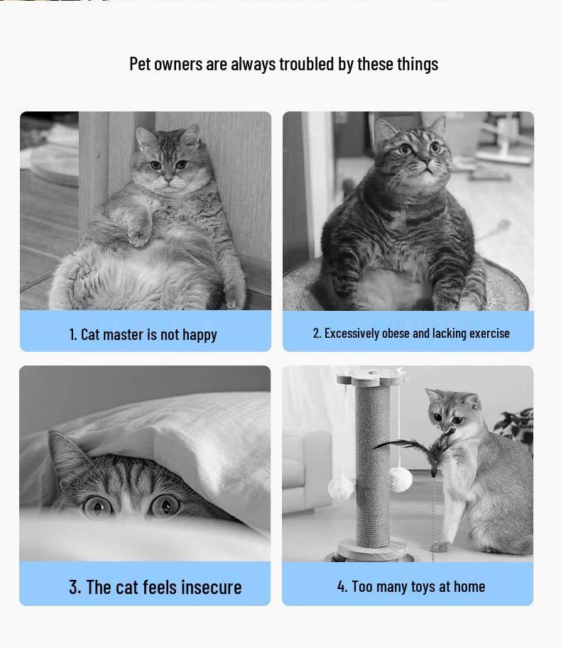 Breathable Spring/Summer Cat Tunnel & Bed Combo for Play and Relaxation