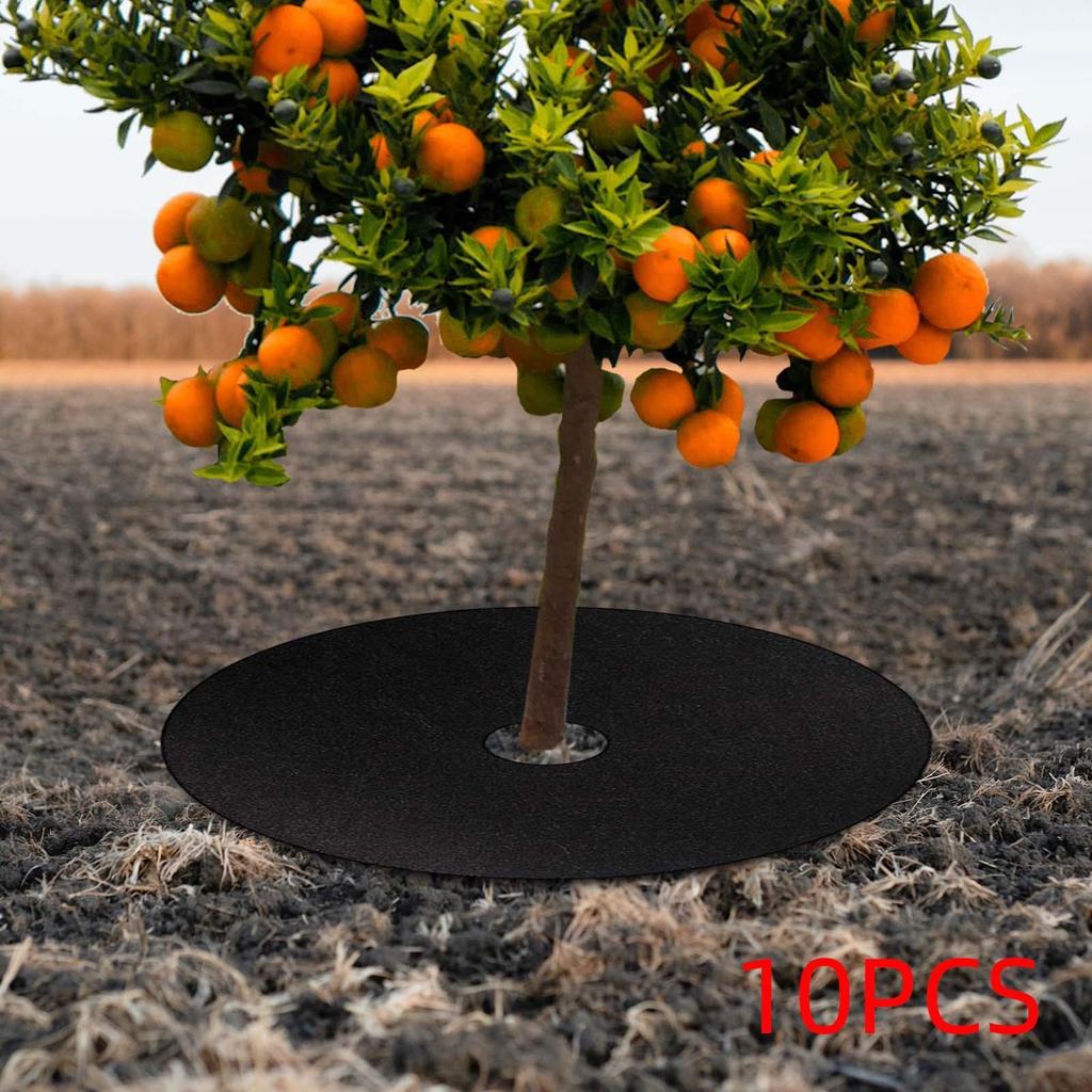 10x Tree Mulch Rings for Weed Control with 2.76" Hole Potted Plant Root Protection Landscaping Thickened 24 Inch Tree Protector