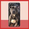 Pit Bull Lovely Dog Pitbull Case For Samsung Galaxy M52 M32 M53 M16 M11 M21 M31 M35 M12 M13 M14 M15 M36 M56 M55 M34 M54