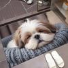 Absorbent Dog Pattern Floor Mat Diatomite Bath Mat Creative Optical Illusion Doormat  Entryway