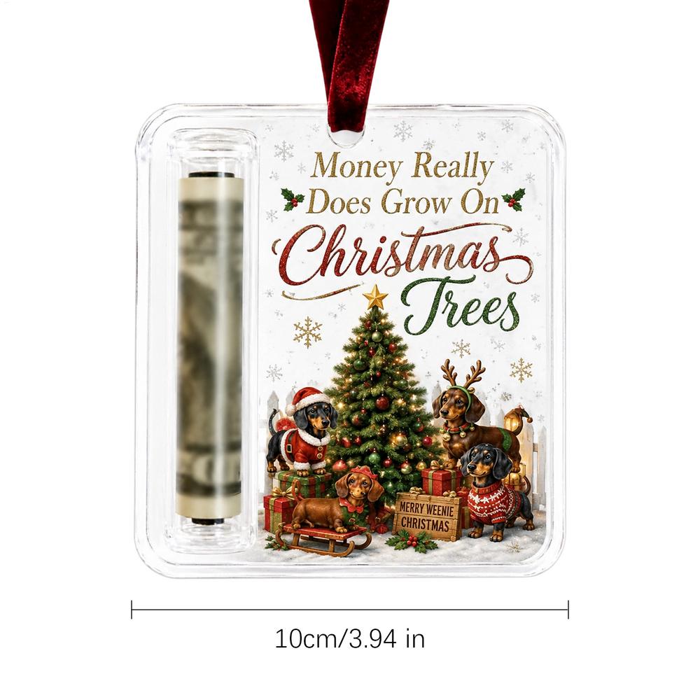Christmas Cash Holder with Lanyard, Funny Seasonal Souvenir Money Card Holder Decoration, Xmas Gift for Family Friends Kids