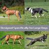 2 Pieces Dog Tail Protector Cover for Wounds, Dogs Tails Heal Sleeve, Dog Wound Care for Medium and Large Dogs To Assist In Recovery from Injury,