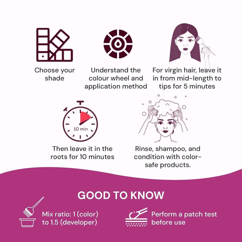 Raaga Professional Pro 10 Hair Color Natural Brown 90g Pack of 1 Fast Hair Dye for Smooth Shiny Hair