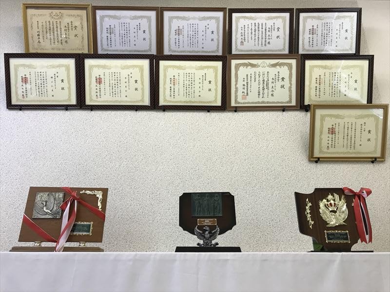 Shizuoka Makinohara Deep Steamed Empty Flat 100g Tea, Bag,