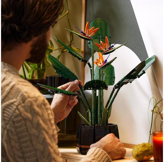 LEGO Creator 10289 Ботаническая коллекция Королевская стрелиция