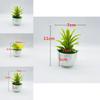 Faux Succulent Desert Plant Pot With Durable Plastic Material For Living Room Decor