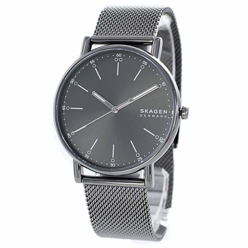 Skagen Men's Signatur Grey Mesh Stainless Steel Watch SKW6577