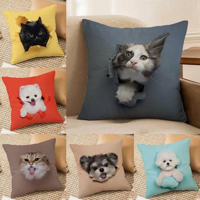 Federa per Cuscino Gatti Cani Carini Birichini Anti-acaro Cerniera Invisibile Divano Letto