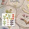 Sušené lisované květiny Umělecká řemesla Ozdobné potřeby Pro ruční výrobu záložek, svíček, šperků, scrapbooking