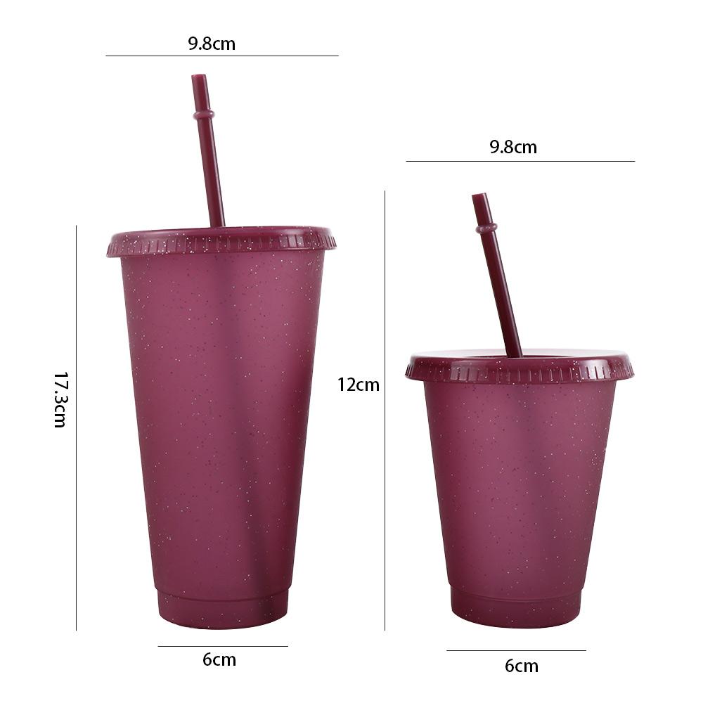 480/700ML Flash Water Bottle For Coffee Juice Milk Tea Kawaii Plastic Cold Cups With Lid Straw Portable Reusable Drinking Bottle