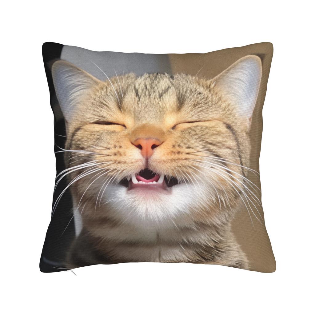 Katzen-Memes Lustiger Meme-Druck Kissenbezug Weicher Kissenbezug für Sofa Auto Heimdekoration Modischer Kissenbezug