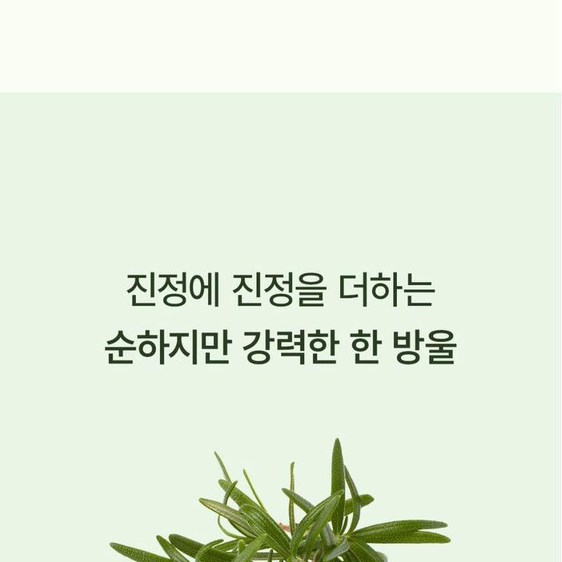 STEAMBASE - Tea Tree Scalp Healing Tonic