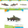 Realistic Plastic Fish Model Set Featuring Colorful Red Spot Salmon Piranha And Yarrow Fish
