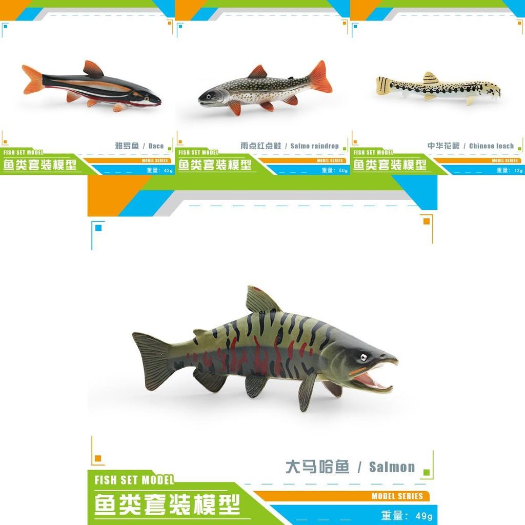 Realistic Plastic Fish Model Set Featuring Colorful Red Spot Salmon Piranha And Yarrow Fish
