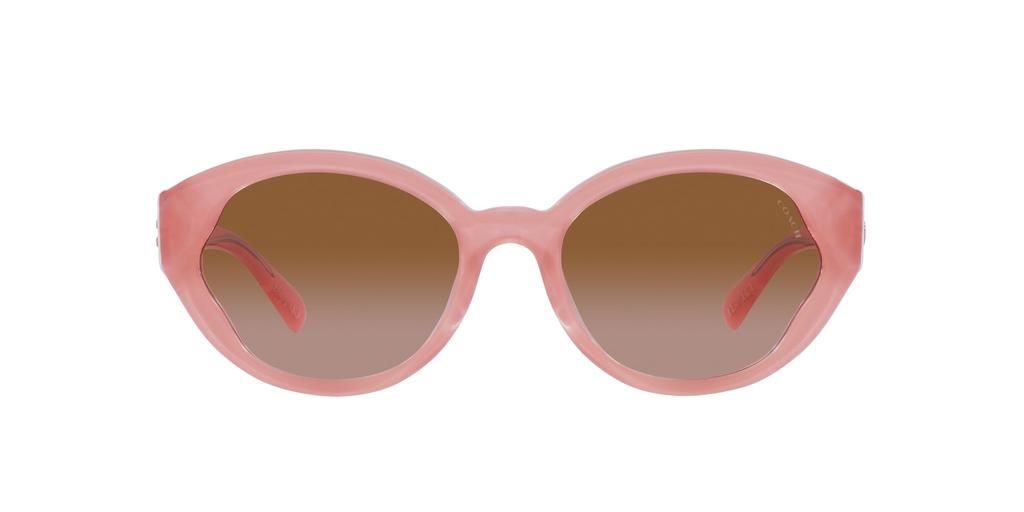 Coach Sunglasses HC8364U CH569 Milky Pink Gradient Lens 55 Pink/Transparent Frame/Brown