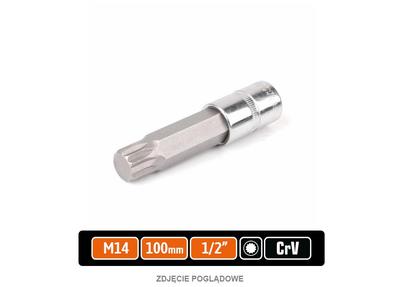 Klucz Nasadowy 1/2" Z Bitem Spline 100 Mm/M14 / Teger
