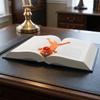 Funny Reading Book Clip Cute Cat Reading Bookmark Reusable Lazy Cat Bookmark  Students Supplies