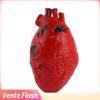 Accessoire de farce - DIOCHE - Faux Cœur Humain - Latex - Taille Réelle - Décoration Halloween