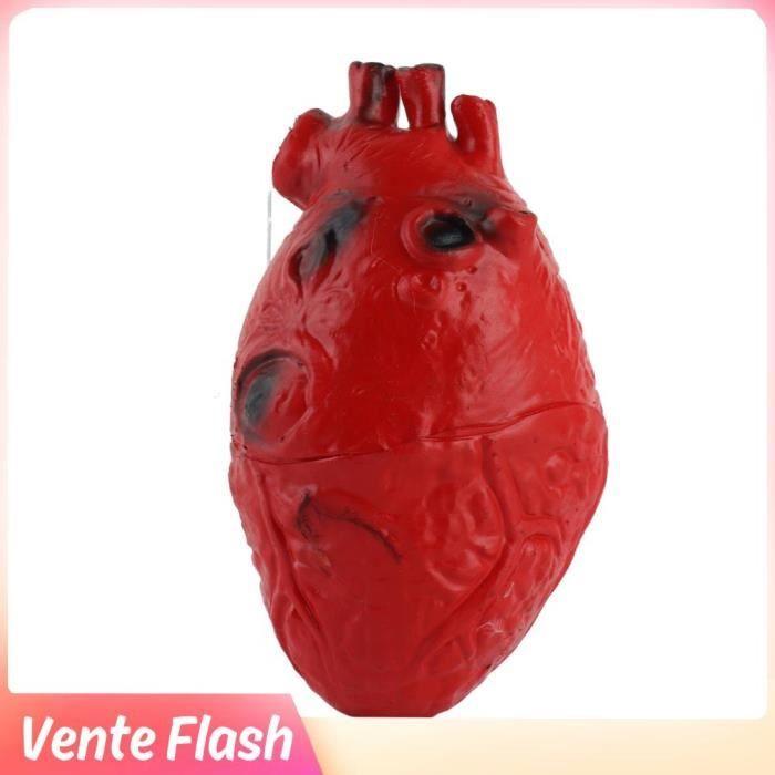 Dioche Human Heart Fake Latex Real Size Prop Halloween Scary