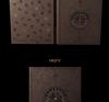 (AURUM / CAROUSEL BOOK ver.) GUCKKASTEN [AURUM] 3rd Full Album