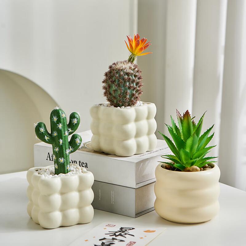 Artificial Cactus Succulent Plant with Glass Pot