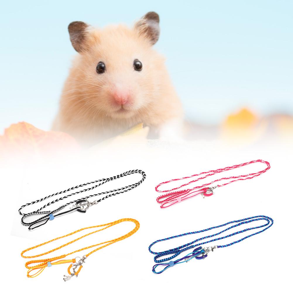 syrian hamster leash