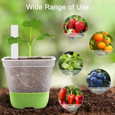 6 peças vasos transparentes para viveiro, vasos para cultivo de mudas com base de silicone, sementes reutilizáveis, vaso de flores inicial com etiquetas para varanda de jardim
