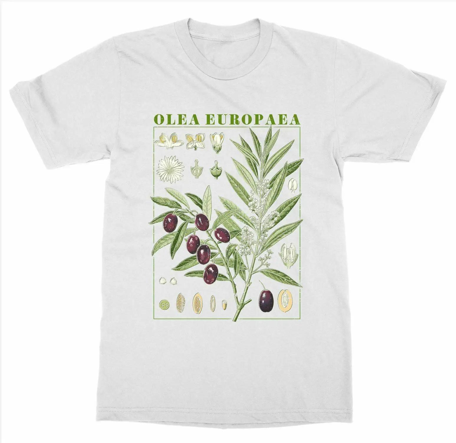 Olive Botanical Garden Plant Bloom Fruit Flower Grow Botany TShirt 100 Cotton ONeck Summer Short Sleeve Casual Mens Tshirt S