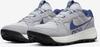 Nike ACG Lowcate Sneakers (DM8019-004) Wolf Grey/mist Grey/summit White/navy