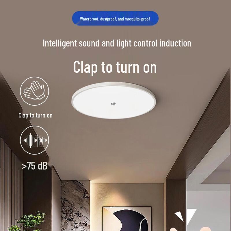 Liangtu Smart LED Motion Sensor Ceiling Light