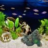 Aquarium Decorations Realistic Trunk Landscaping Resin Deadwood for Potted Plant Shrimp Fish Hideouts Shelter Cave House