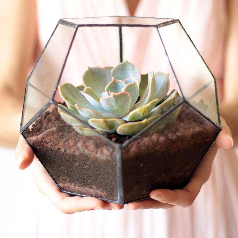 Stilvolle geometrische Form Glas Blumentopf Sukkulenten Pflanze Pflanzer Container Landschaft Dekoration
