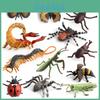 Spider Butterfly Pvc Insect Model Set With Realistic Animal Replicas For Educational Play And Collection