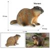 Oenux Wild Animals Simulation Rodent Marmot Mouse Model Squirrel Rat Chinchilla Action Figure Figurine Collection Cute Kid Toy