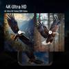 Auto-Focus HD Low-Light Full-Color Infrared Night Vision Binoculars