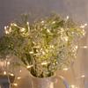 10m Waterproof LED String Lights - 100 LEDs, 8 Functions, Remote Controlled for Outdoor, Weddings, Festivals, and Christmas Tree Decorations
