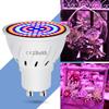 Phyto Led B22 Hydroponic Growth Light E27 Led Grow Bulb MR16 Full Spectrum 220V UV Lamp Plant E14 Flower Seedling Fitolamp GU10 KTY