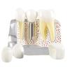 C-Convenient-Teeth Demonstration Model Implant Removable Analysis Crown Bridge For -Patient Communication