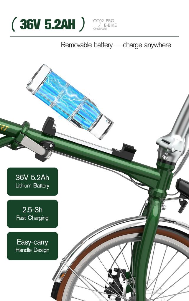 ONESPORT OT02 Pro 250W36V5.2Ah Baterie Autonomie 25km Senzor de Cuplu Apărători de Noroi și Afișaj LCD