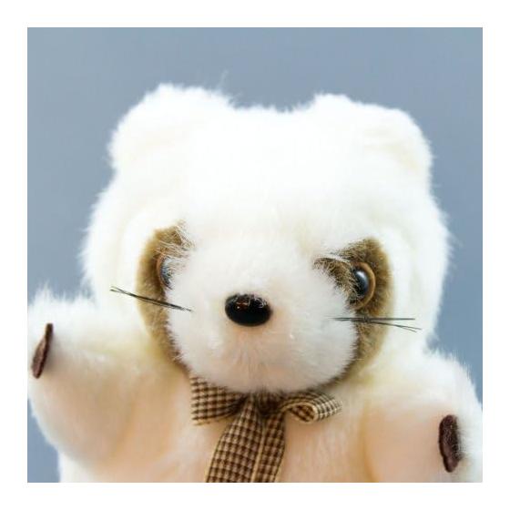 Takenoko red panda mini white stuffed toy 10103