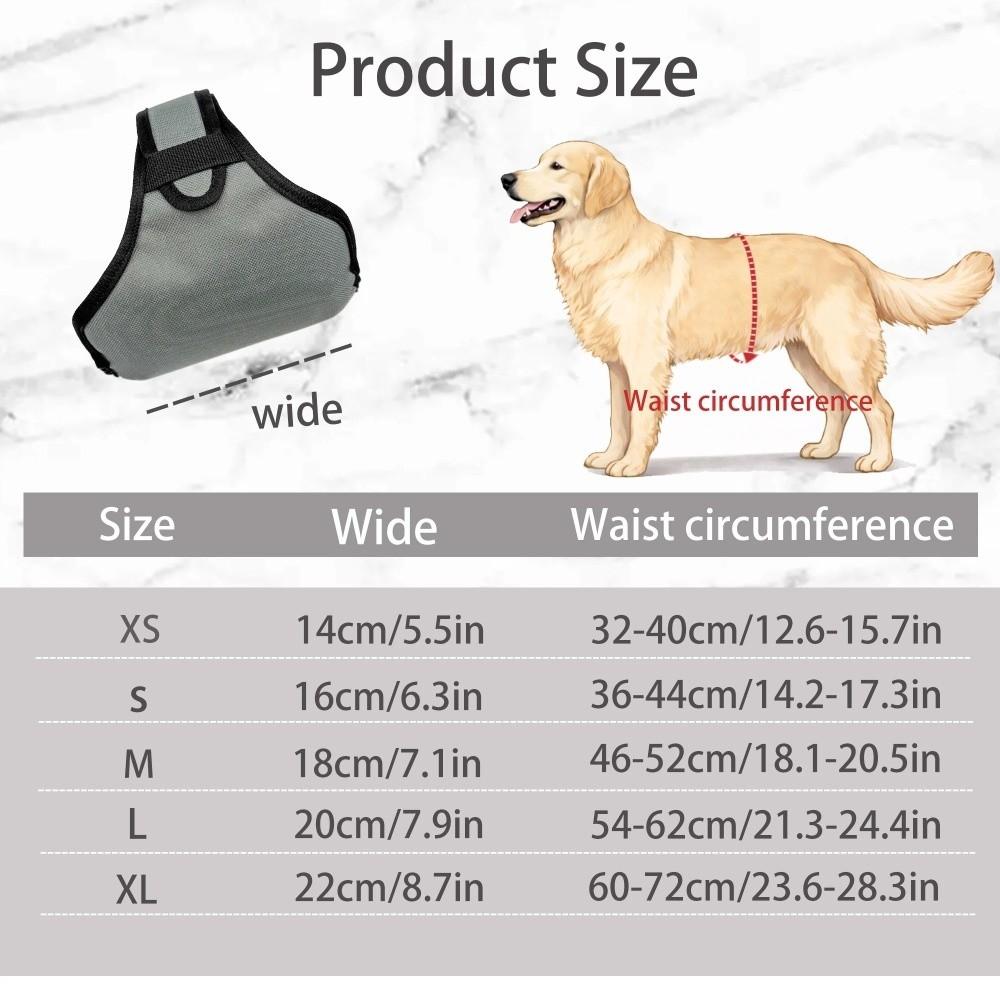 Breathable Dog Training Pants Anti Harassment Anti Urination Dog Physiological Pants Belly Band Clothes Protective Pants