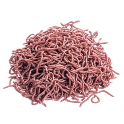 Lifelike Red Worm Soft Lure Earthworm Fishing Silicone Artificial Bait Fishy Smell Shrimp Additive Bass Carp