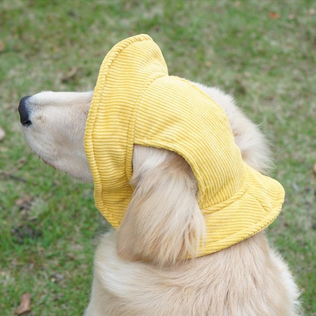 Pooch With Dog Sun Hats Stylish Accessories For Summer Days Dog Hats Summer Kids Beach Hats Dog Cabi