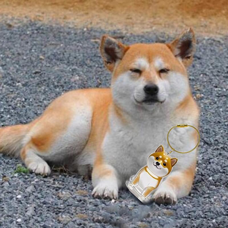 Capsulă Memorială Transparentă pentru Păr de Cățel Suvenir Container pentru Blană de Câine Animal de Companie Pandantiv Breloc DIY Decor Iubitori de Animale de Companie Afișaj Acasă Cadouri