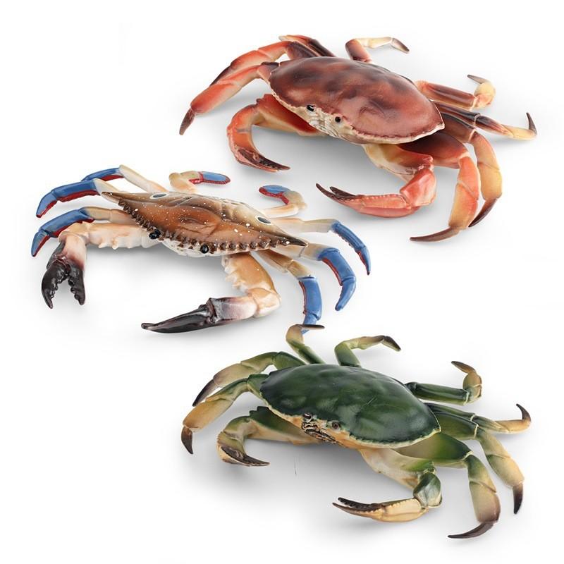 Crab Marine Animal Static Model Toy With Realistic Design For Decor Desktop