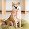 Giraffe Dog Chew Toy Bite Resistant Pet Squeaky Toy Puppies Teething Cleaning