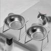 Raised Cat Bowls Tilted Neck Guard Cat Food Bowl 304 Stainless Steel Shatter-resistant Elevated 15° Pet Supplies For Puppy Cat
