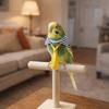 Lightweight Parrot Necktie Adjustable Pet Bird Tie Little Bird Costume  Pet Decoration